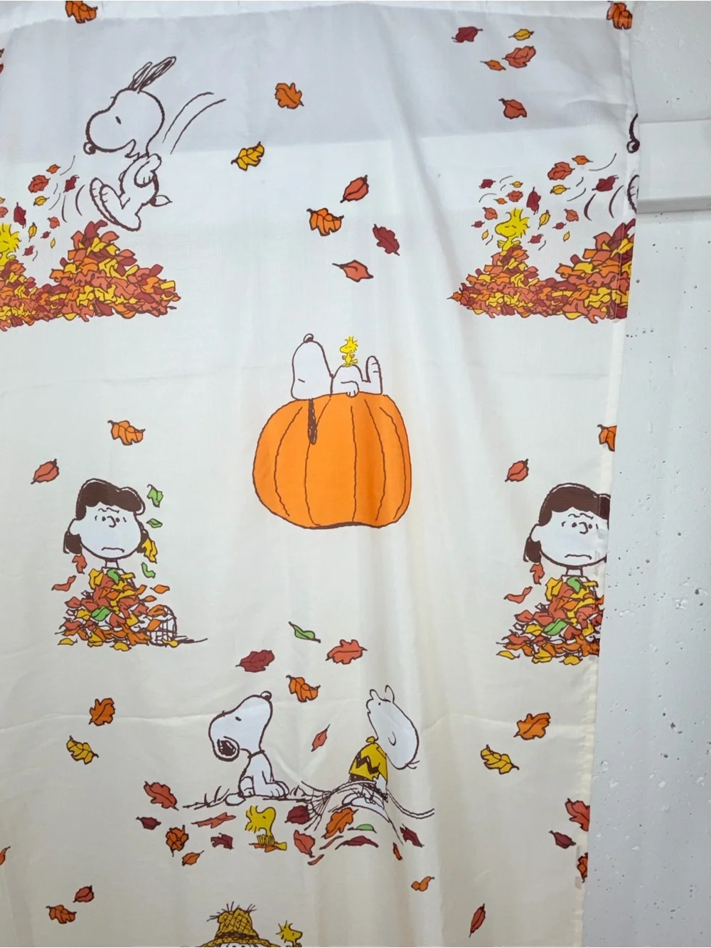 Peanuts Celebrate Together Snoopy & Woodstock Halloween Fall Shower Curtain
